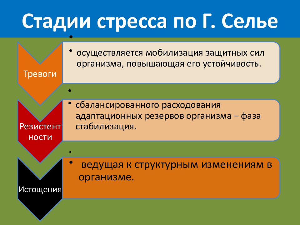 Стадии стресса