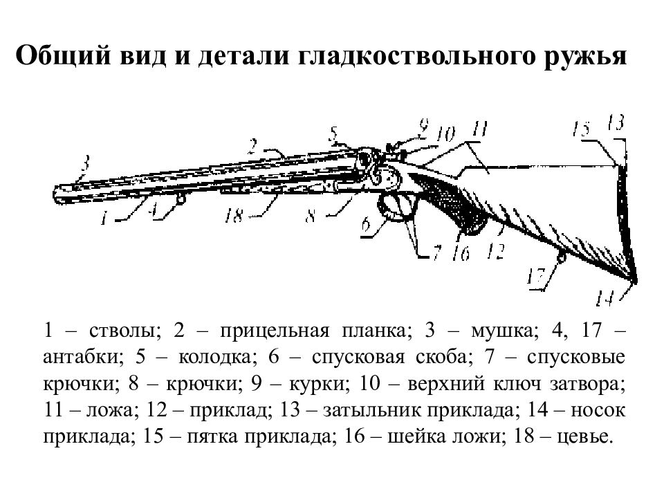 Виды стволов. Перечислите основные элементы охотничьего ружья.. Части охотничьего ружья ИЖ 27м криминалистика. Основные части гладкоствольного охотничьего оружия. Составные части охотничьего ружья.