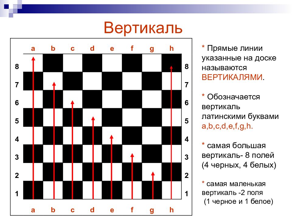 Сколько белых диагоналей на доске. Горизонталь Вертикаль диагональ в шахматах. Диагональ горизонталь Вертикаль на шахматной доске. Горизонтали и вертикали на шахматной доске. Линии на шахматной доске.