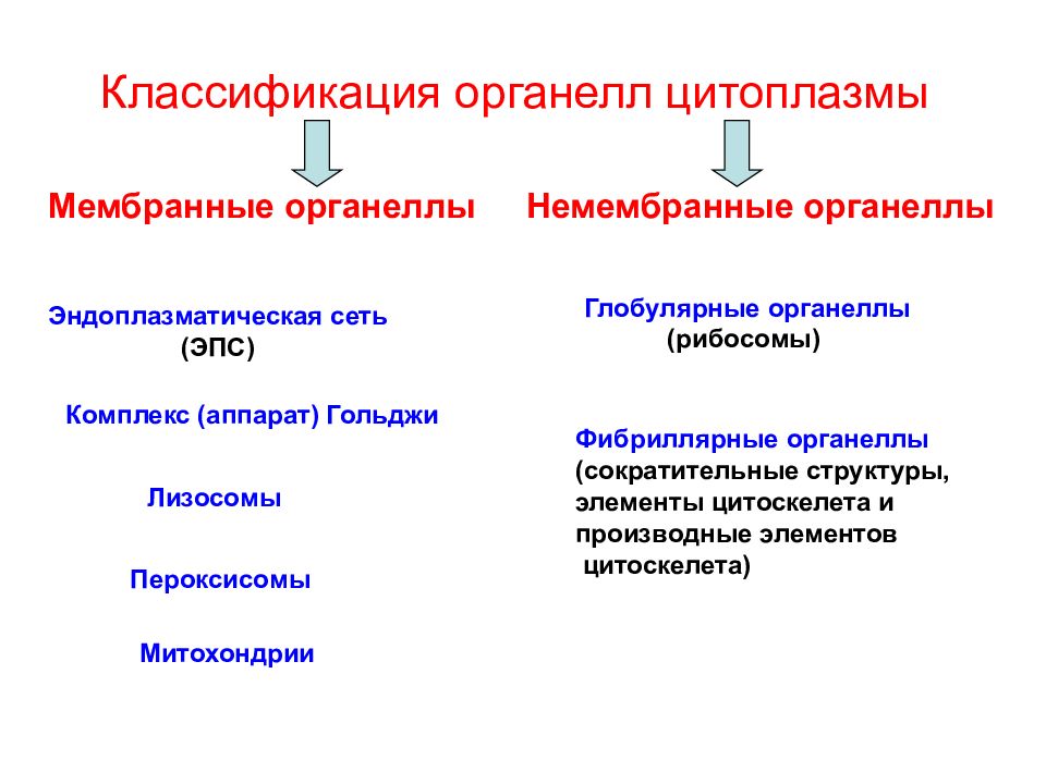 Мембранные органеллы. Органеллы классификация строение функции. Классификация органоидов цитоплазмы. Классификация органелл клетки таблица. Классификация мембранных органелл.