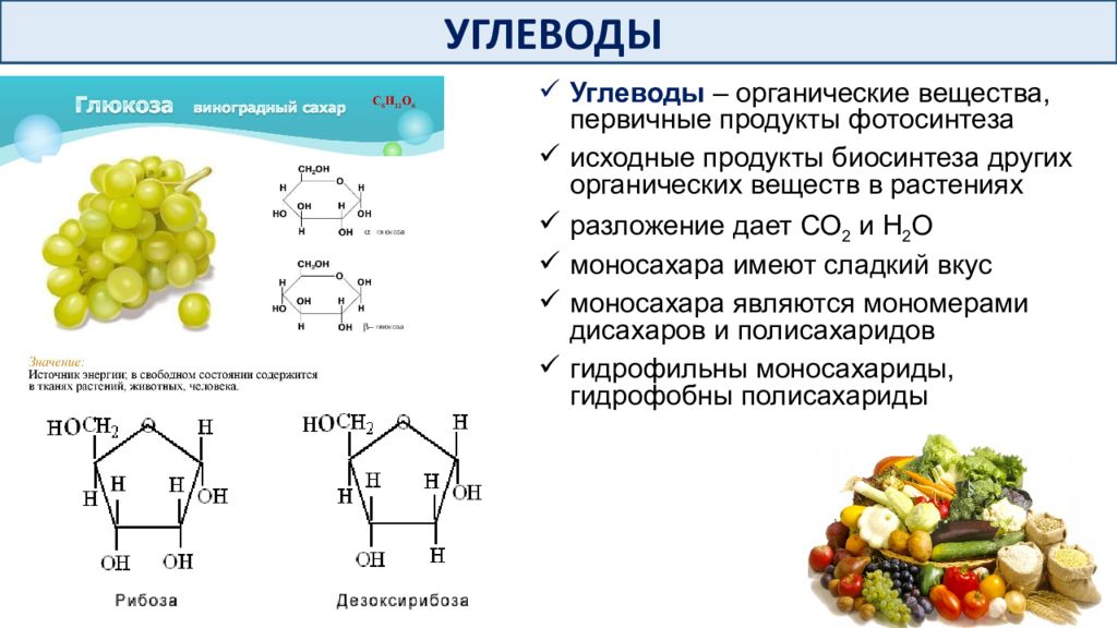 Строение углеводов