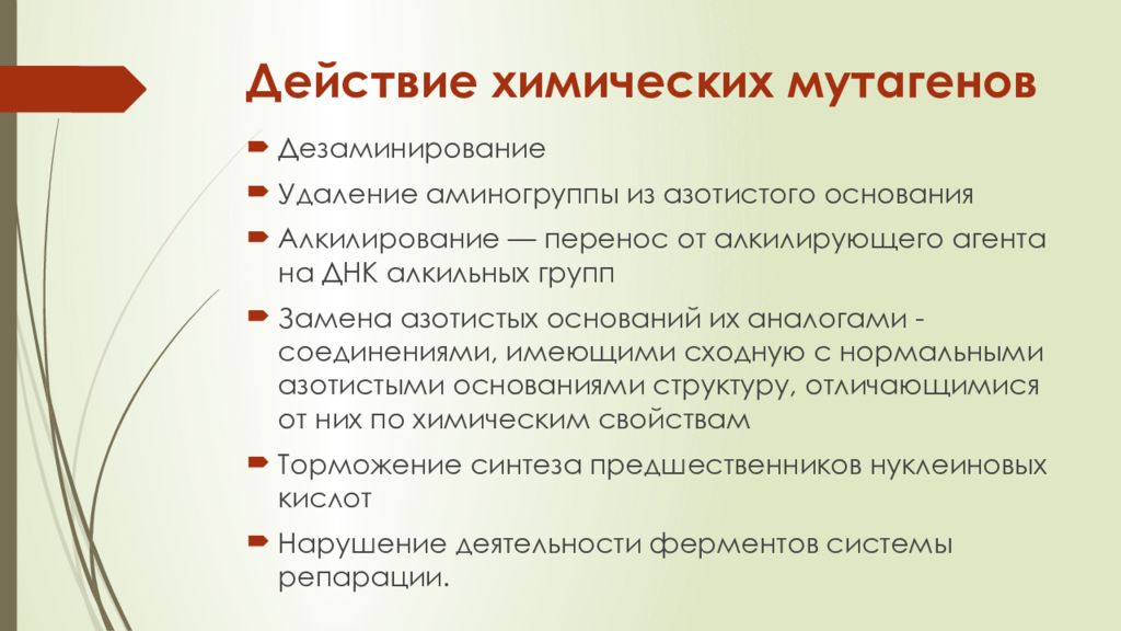 Химические факторы механизм действия. Влияние химических мутагенов на организм человека. Химические мутагены последствия на организм. Влияние мутагенов на человека. Химические мутагены влияние на организм.