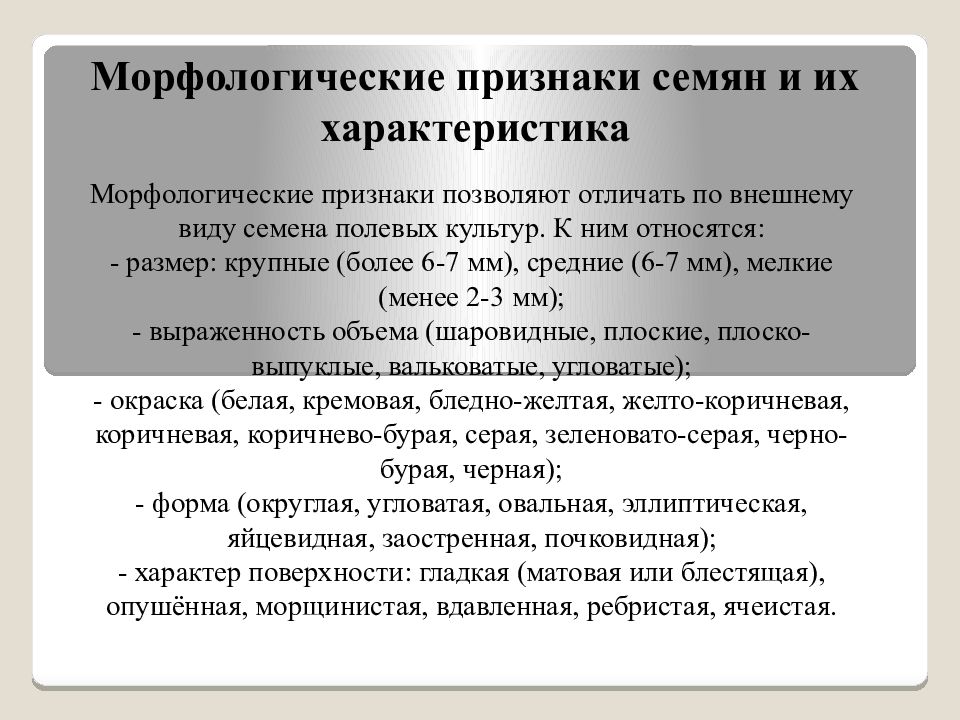 Морфологические особенности. Морфологические признаки семян. Морфологические признаки овощных культур. Морфологические особенности семян овощных культур. Морфологический признаки семян овощных культур.