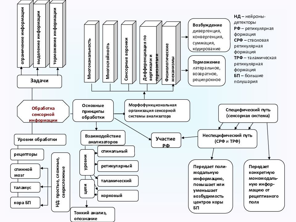 Обработка информации примеры из жизни. Два типа обработки информации. Обработка информации это в информатике. Практикум обработка информации. Модель обработки информации.