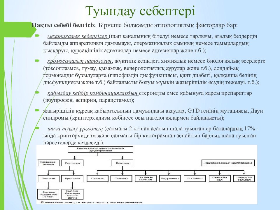 Туындау себептері