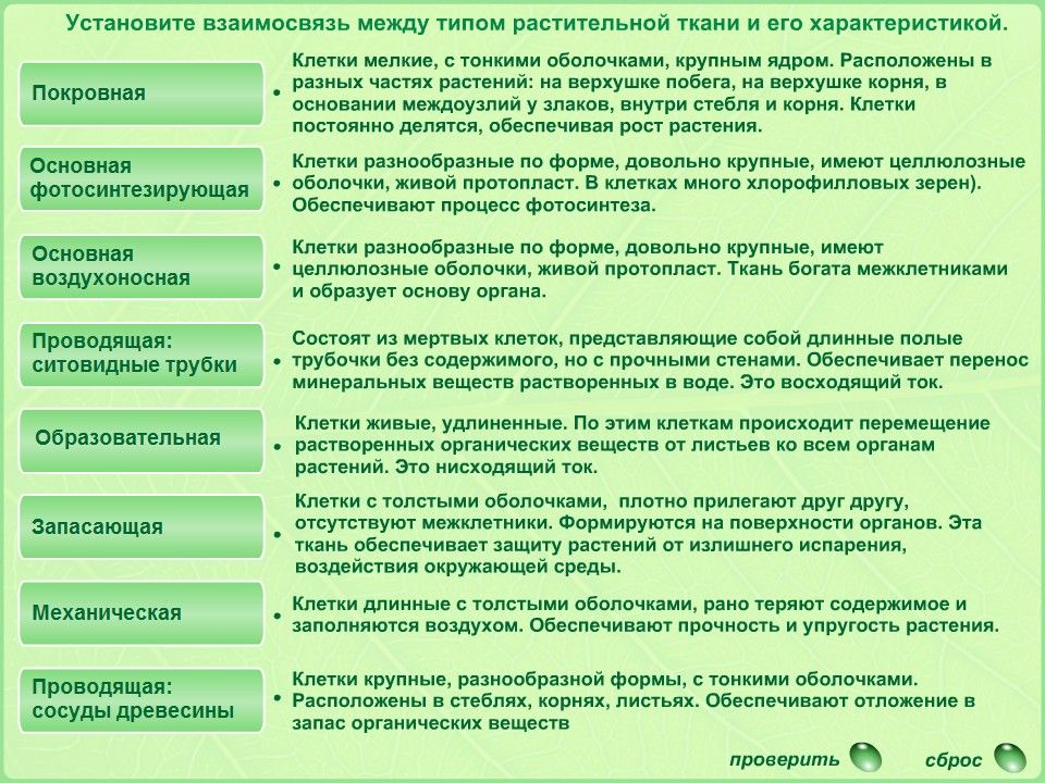 Функции ткани растений таблица 6 класс. Ткани растений таблица кратко. Типы тканей растений таблица. Основные типы тканей растений таблица. Ткани растительной клетки и их функции.