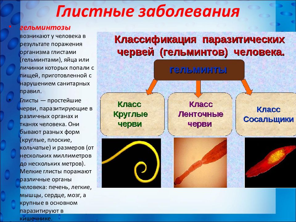 Заболевание контагиозными гельминтозами. Глистные заболевания виды. Гельминтозные заболевания.