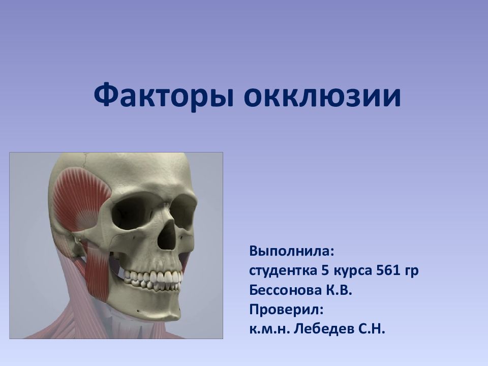 Факторы окклюзии