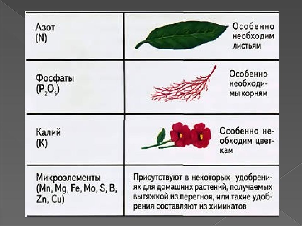 Определения калия в почве