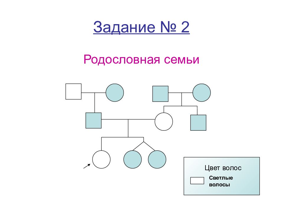 Генетическая схема