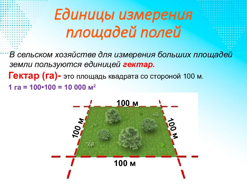Единицы измерения площади. Меры площади земли. Единицы измерения площади 5 класс. Гектар единицы измерения площади.