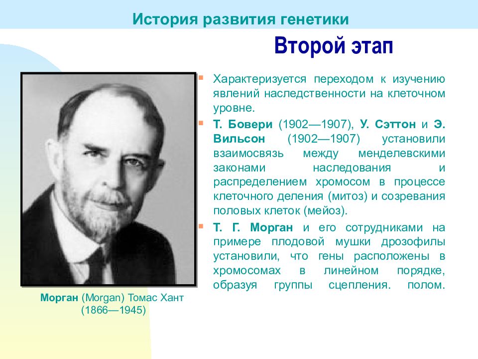 История становления генетики как науки. История развития генетических исследований. История развития генетики этапы. Второй этап развития генетики. Основные этиапы становления гене.