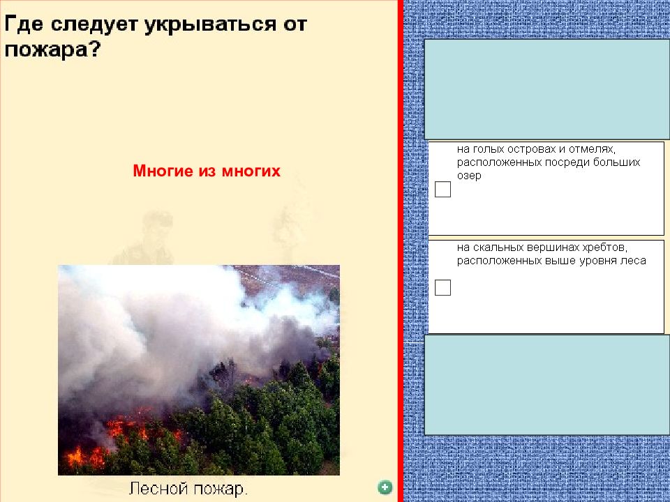 Эпидемии эпизоотии и эпифитотии презентация 7 класс обж