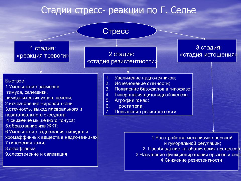 Патофизиология нервной системы. Механизм развития стресс реакции. Стадии стресса патофизиология. Стресс патогенез стадии. Стадии стресса в патологии.