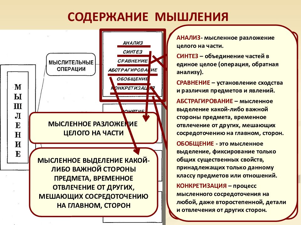 Деятельность егэ. Понятие мышление в обществознании. Содержание мышления. Мышление ЕГЭ. Мышление и деятельность.