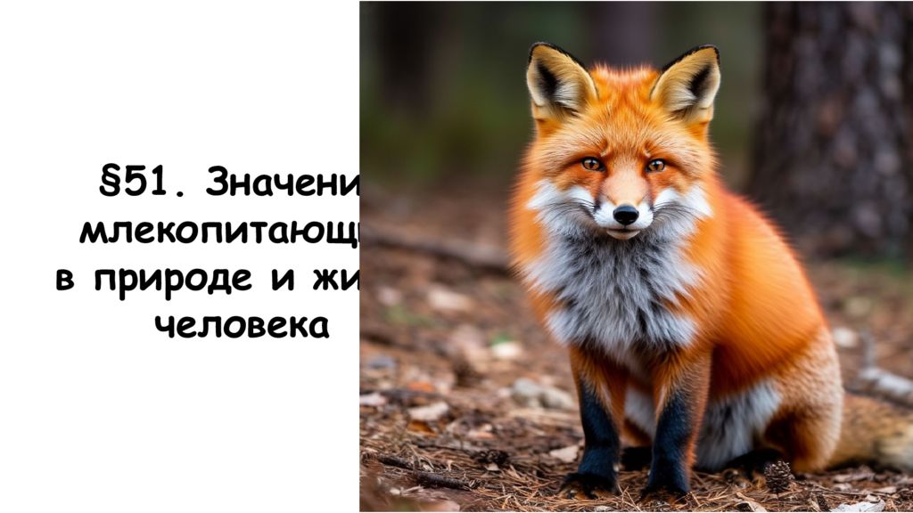 51. Значение млекопитающих в природе и жизни человека