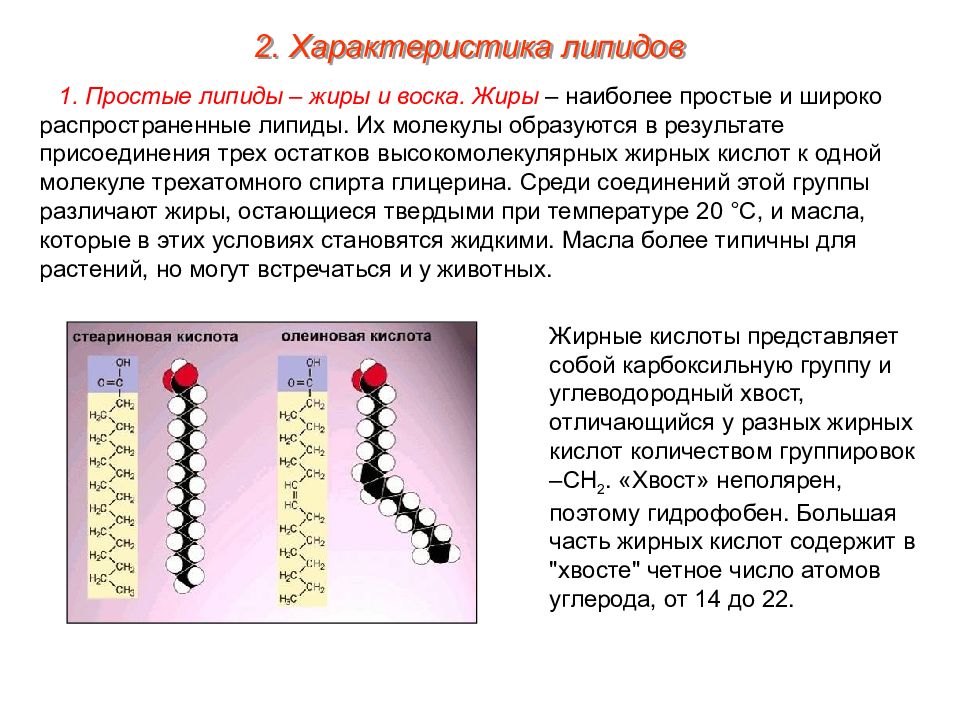 Простые липиды презентация