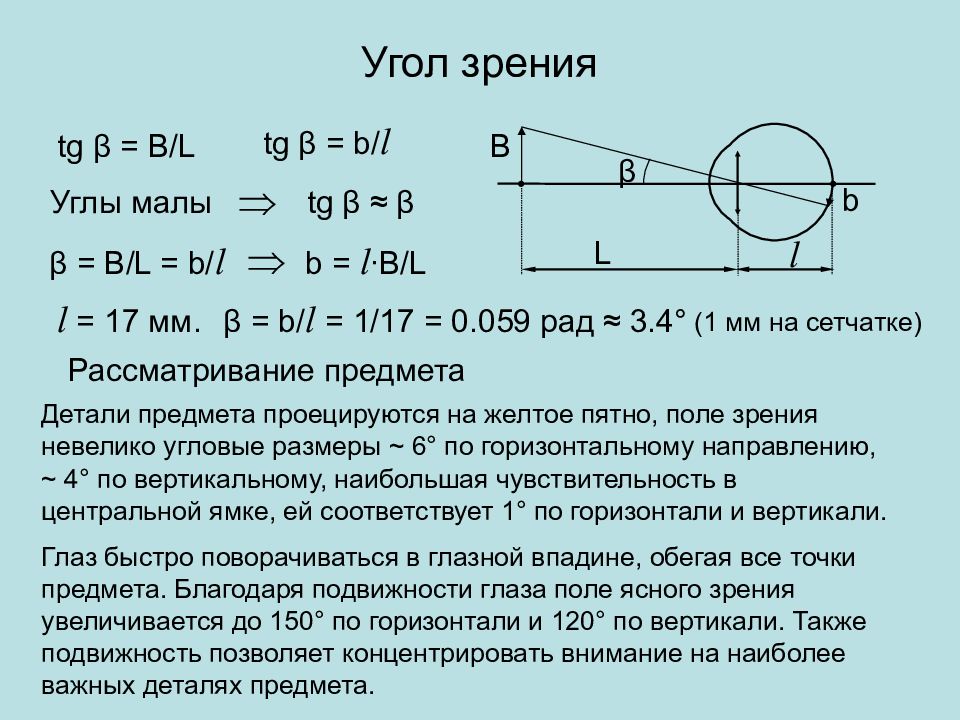 Угол зрения. Угол зрения физика. Угол зрения формула. Зрительный угол. Наименьший угол зрения формула.