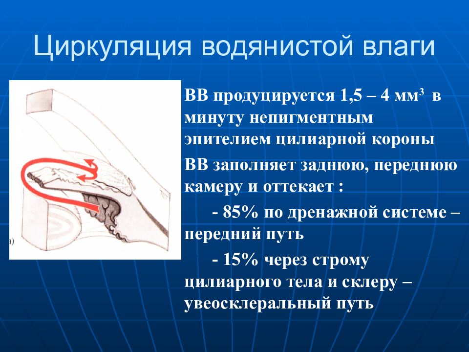 Отток влаги глаза. Циркуляция водянистой влаги. Отток водянистой влаги. Пути оттока водянистой влаги глаза. Пути циркуляции водянистой влаги.