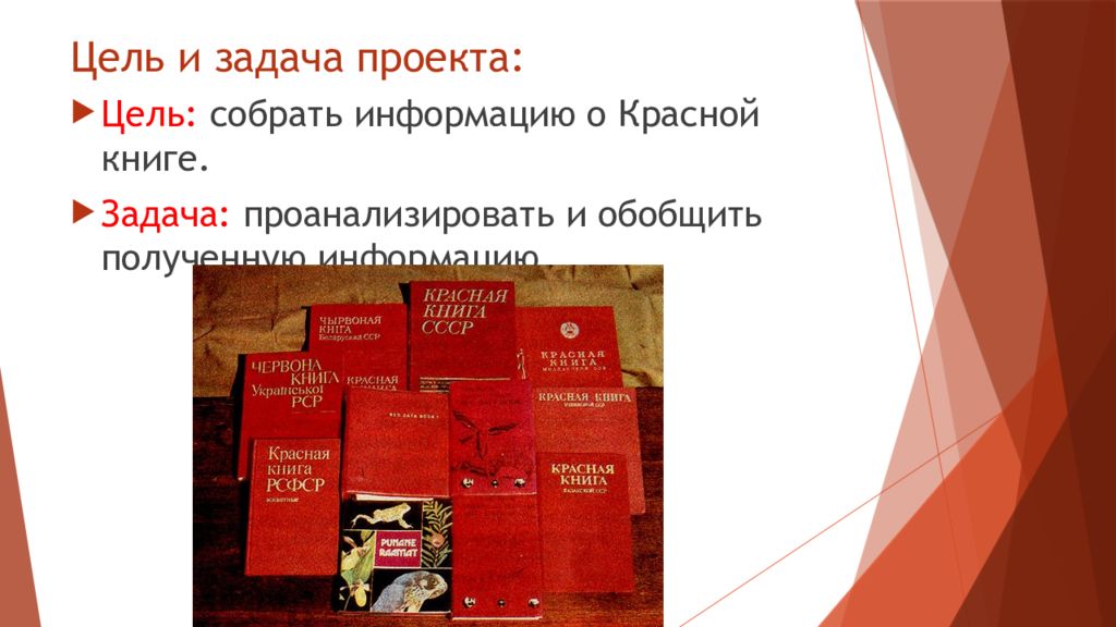 Проект красная книга или возьмем под защиту. Цели и задачи красной книги. Задачи проекта красная книга. Цель красной книги. Цель проекта красная книга.