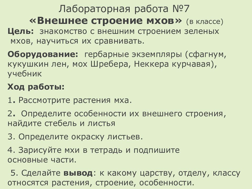 Практическая работа строение мха 7 класс