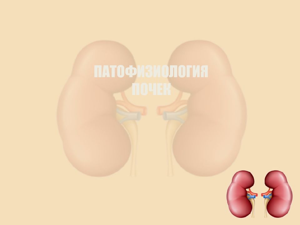 ПАТОФИЗИОЛОГИЯ ПОЧЕК