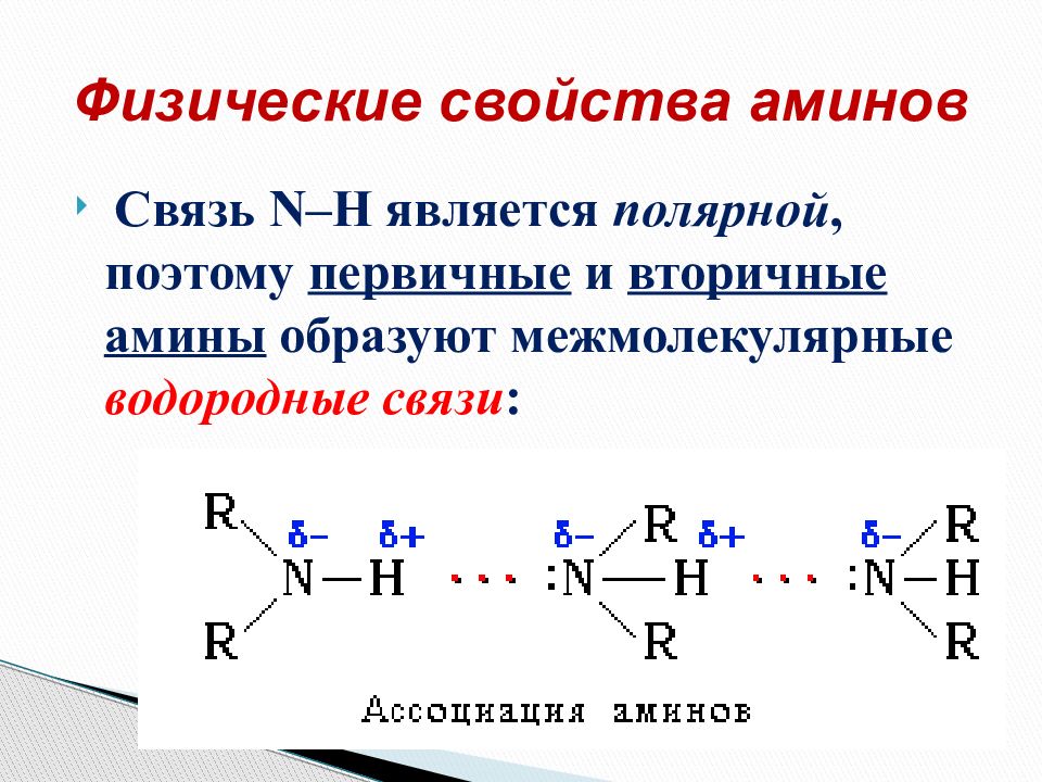 H является. Водородные связи в аминах. Водородная связь между молекулами метиламина. Третичные Амины водородные связи. Физические свойства Аминов.