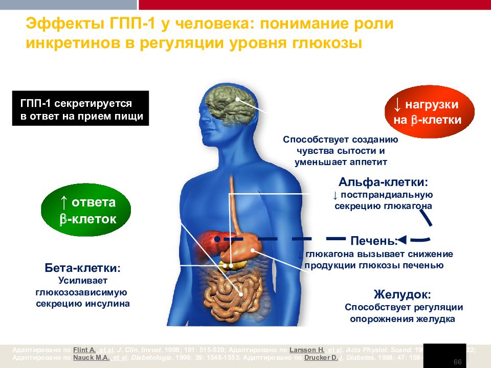 Гпп 1 препараты