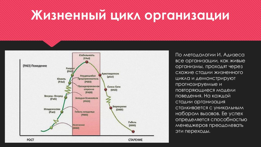 Стадии жизненного цикла вишни. Стадии жизненного цикла вишни