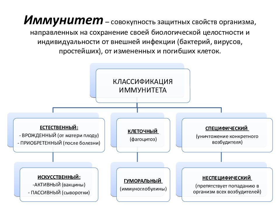 Защитных свойств организма способствует. Защитные свойства организма. .Защитные свойства организма. Иммунитет.. Совокупность защитных свойств организма направленных на сохранение. Вилы иммунитета и защитное маойства организма.