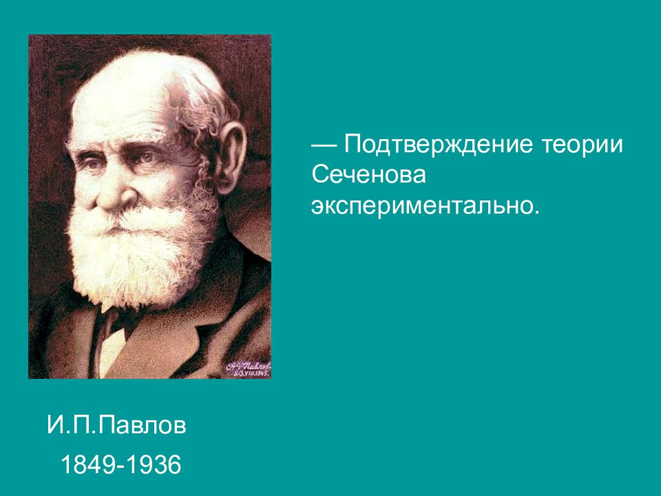 Развитие биологии презентация. История развития биологии России презентация. История развития биологии 7 класс история. Феличе фонтана вклад в развитие биологии. Римская школа развитие биологии.