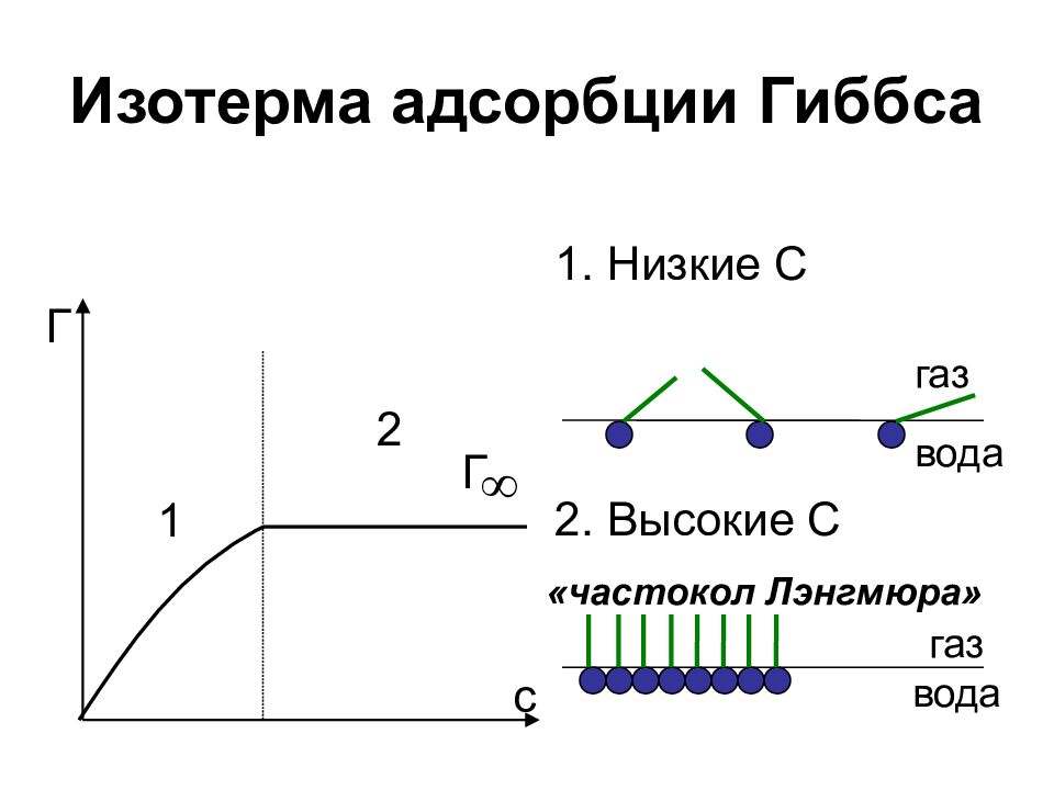 Изотерма это. Изотеома Гибсовской абсорбции. Изотерма адсорбции Гиббса график. График изотермы избыточной адсорбции Гиббса. Изотерма гиббсовской адсорбции.