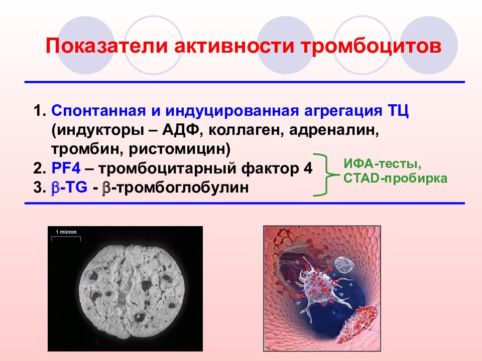 Функциональная активность тромбоцитов. АДФ индуцированная агрегация тромбоцитов. Ристомицин агрегация тромбоцитов.