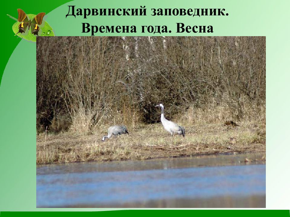 Картинки дарвинского заповедника