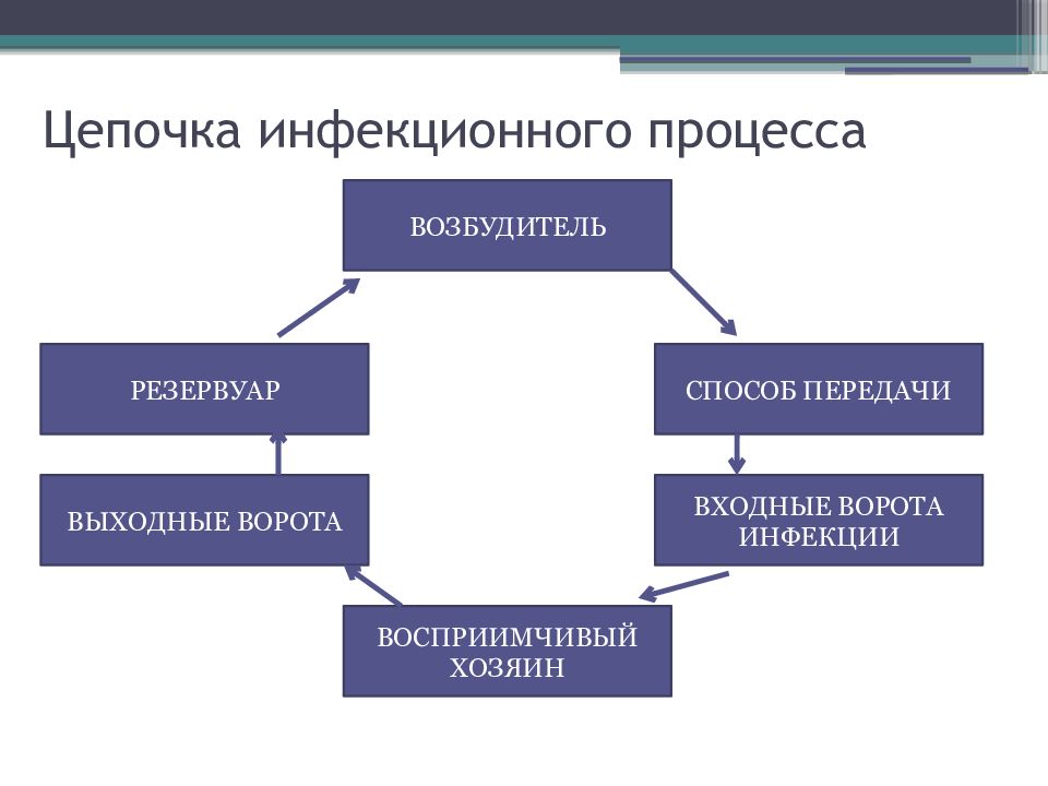 Инфекционный процесс это. Цепочка инфекционного процесса ВБИ. Цепочка инфекционного процесса и способы передачи инфекции. Звенья инфекционного процесса схема. Цепочка передачи инфекции схема.