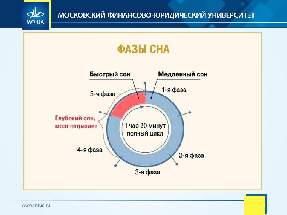 Сколько должна длиться презентация