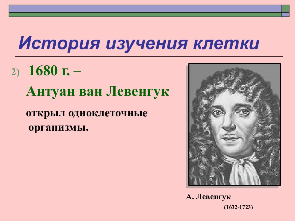 Теория 13. Антони Ван Левенгук клеточная теория. Антуан Левенгук открытие. Открытие одноклеточных организмов Левенгуком.