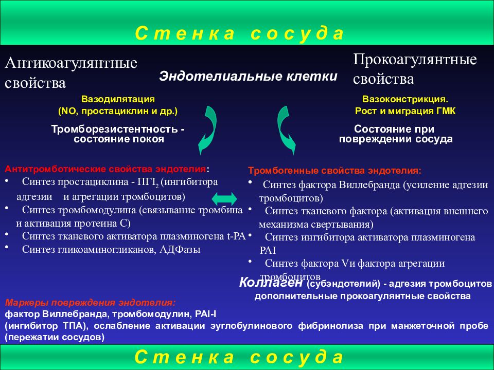 Антитромботические свойства сосудистой стенки