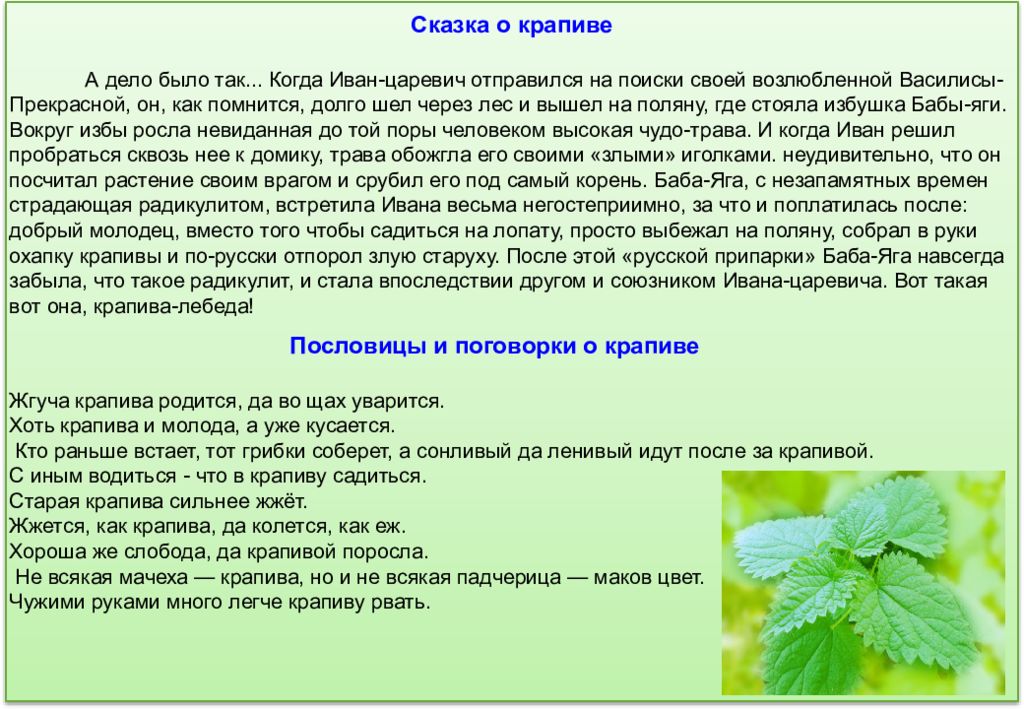 Почему жжется. Сказка про крапиву. Крапива лекарственное растение. Крапива для дошкольников. Сказка о лекарственных травах.