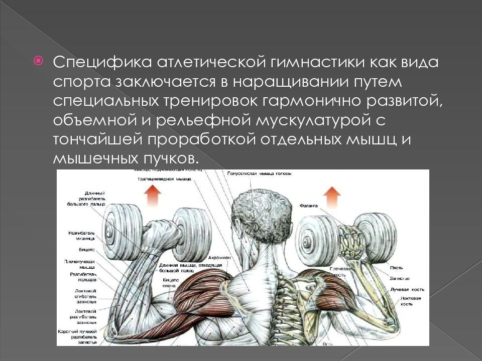 Атлетическая гимнастика презентация