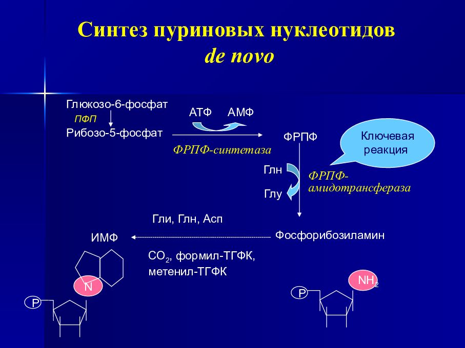 Сущность синтеза. Синтез пуринового кольца биохимия. Синтез ИМФ из рибозо 5 фосфат. Синтез ИМФ схема. Синтез ИМФ биохимия.