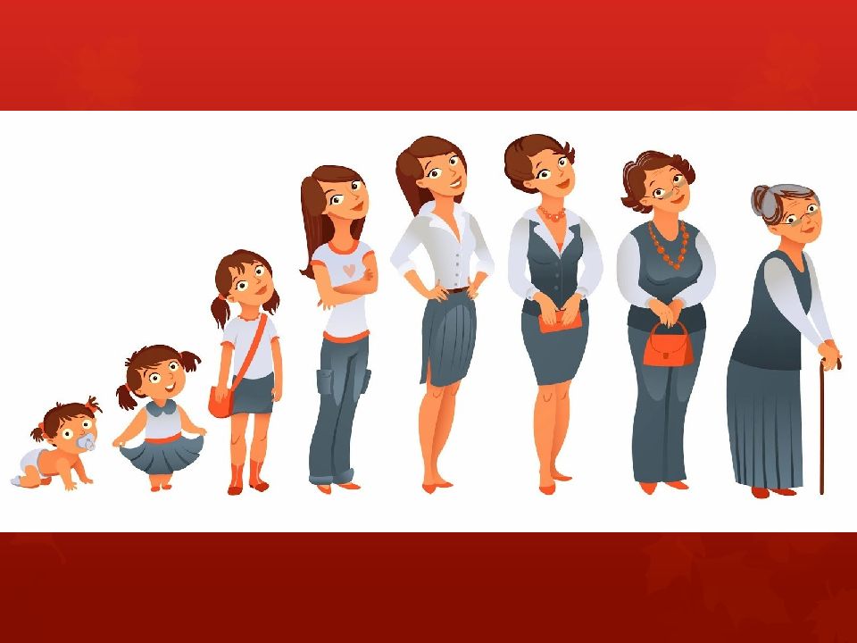 Менструальный цикл Менструальный цикл