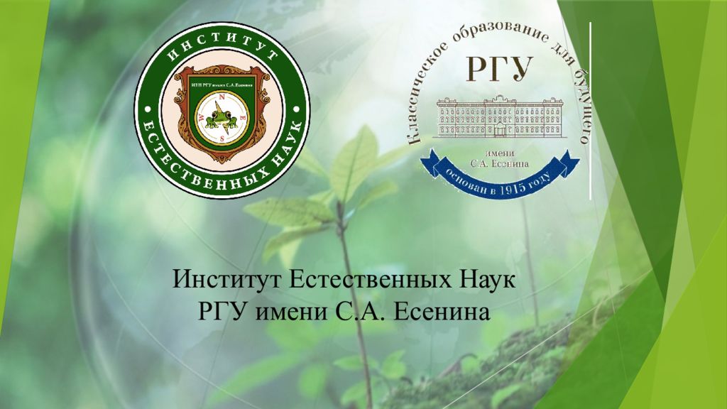 Институт Естественных Наук РГУ имени С.А. Есенина