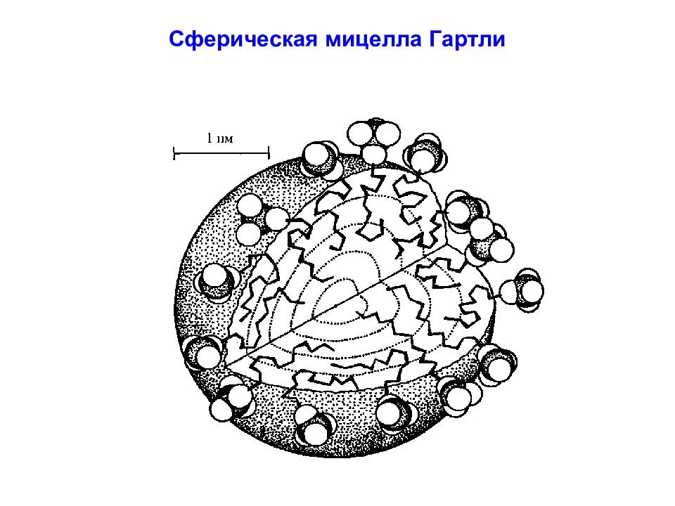 Мицеллы пав. Строение мицелл пав. Сферические мицеллы пав. Шарообразные мицеллы. Полимерные мицеллы.
