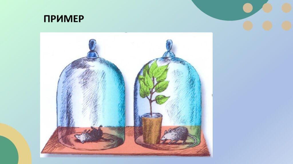 Приборы и инструменты Что можно делать с их помощью Бинокль Наблюдать удалённые