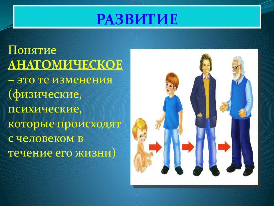 Понятие развитие человека. Физические изменения человека. В течении жизни развитие личности происходит как. Физические изменения человека примеры. Грани развития личности.