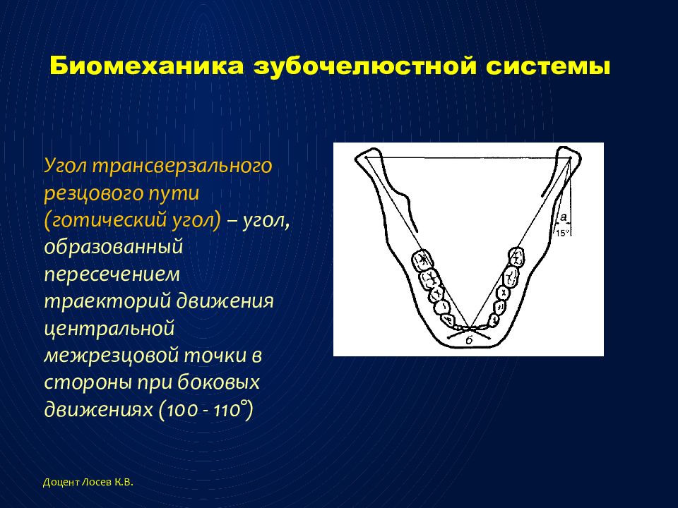 Система углов. Угол трансверзального суставного пути. Угол трансверзального резцового пути. Угол трансверзального резцового пути Готический угол. Угол резцового суставного пути.