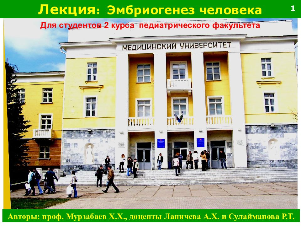 Лекция : Эмбриогенез человека Авторы: проф. Мурзабаев Х.Х., доценты Ланичева