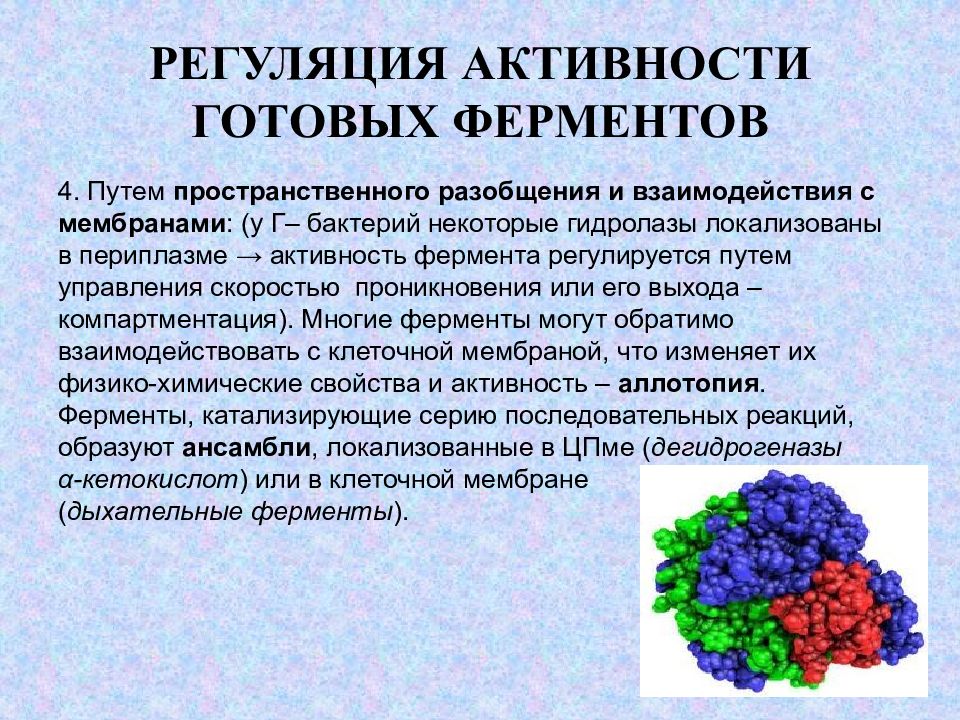 Фермент класса гидролаз. Ферментная регуляция обменных процессов. Регуляция метаболизма у микроорганизмов. Регуляция активности ферментов. Регуляция бактерий.