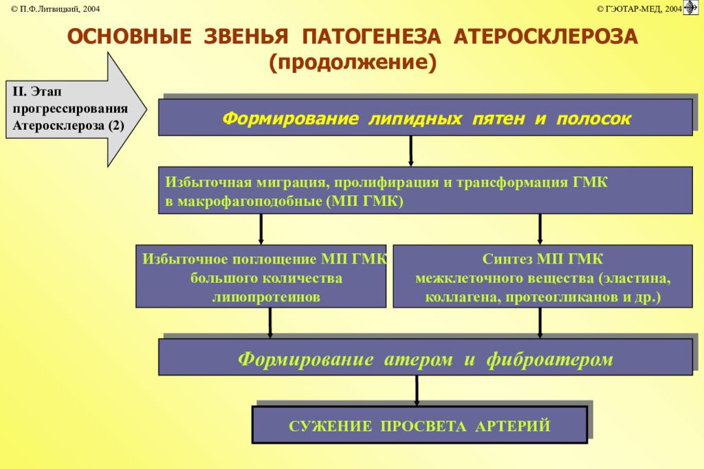 Основные механизмы развития. Патогенетические звенья атеросклероза. Основные звенья патогенеза атеросклероза:. Основное звено патогенеза атеросклероза. Нарушение липидного обмена патогенез.